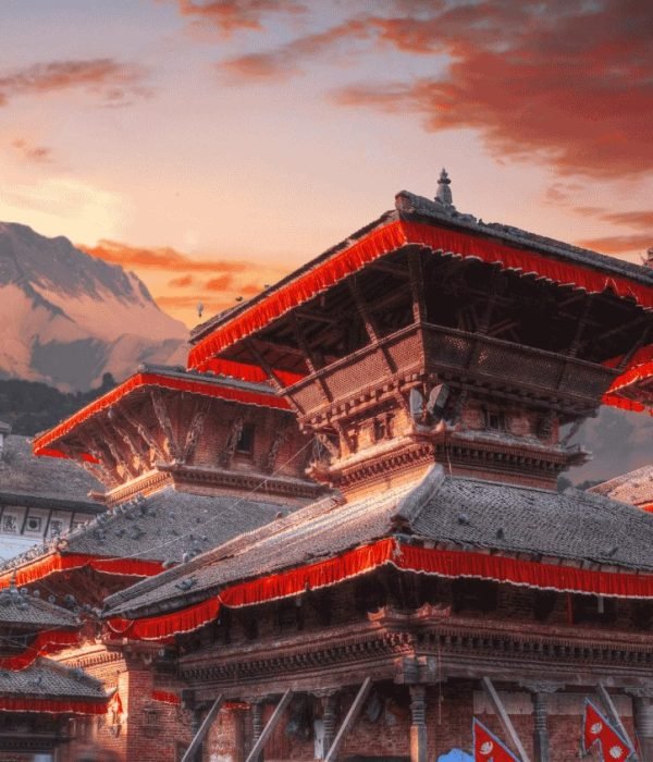 ガーレトレックス